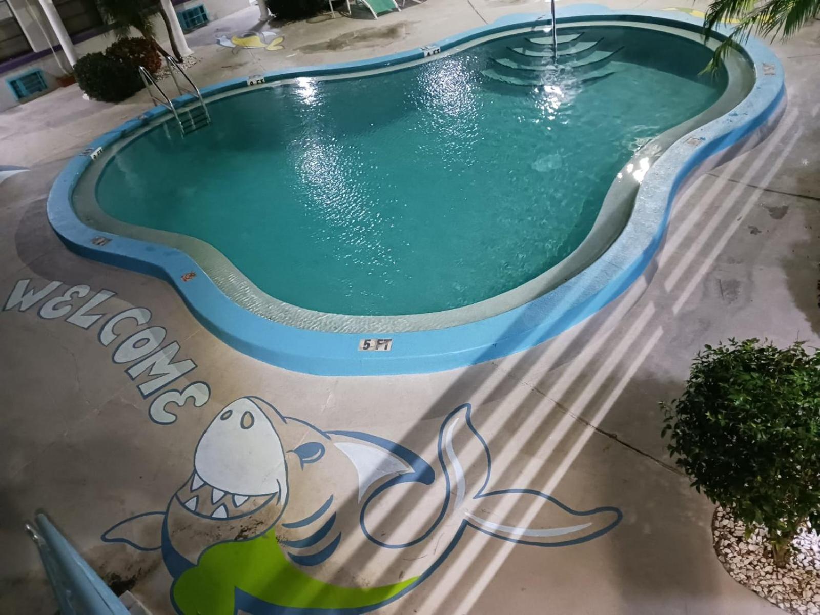 Royal North Beach Clearwater Beach Exterior photo